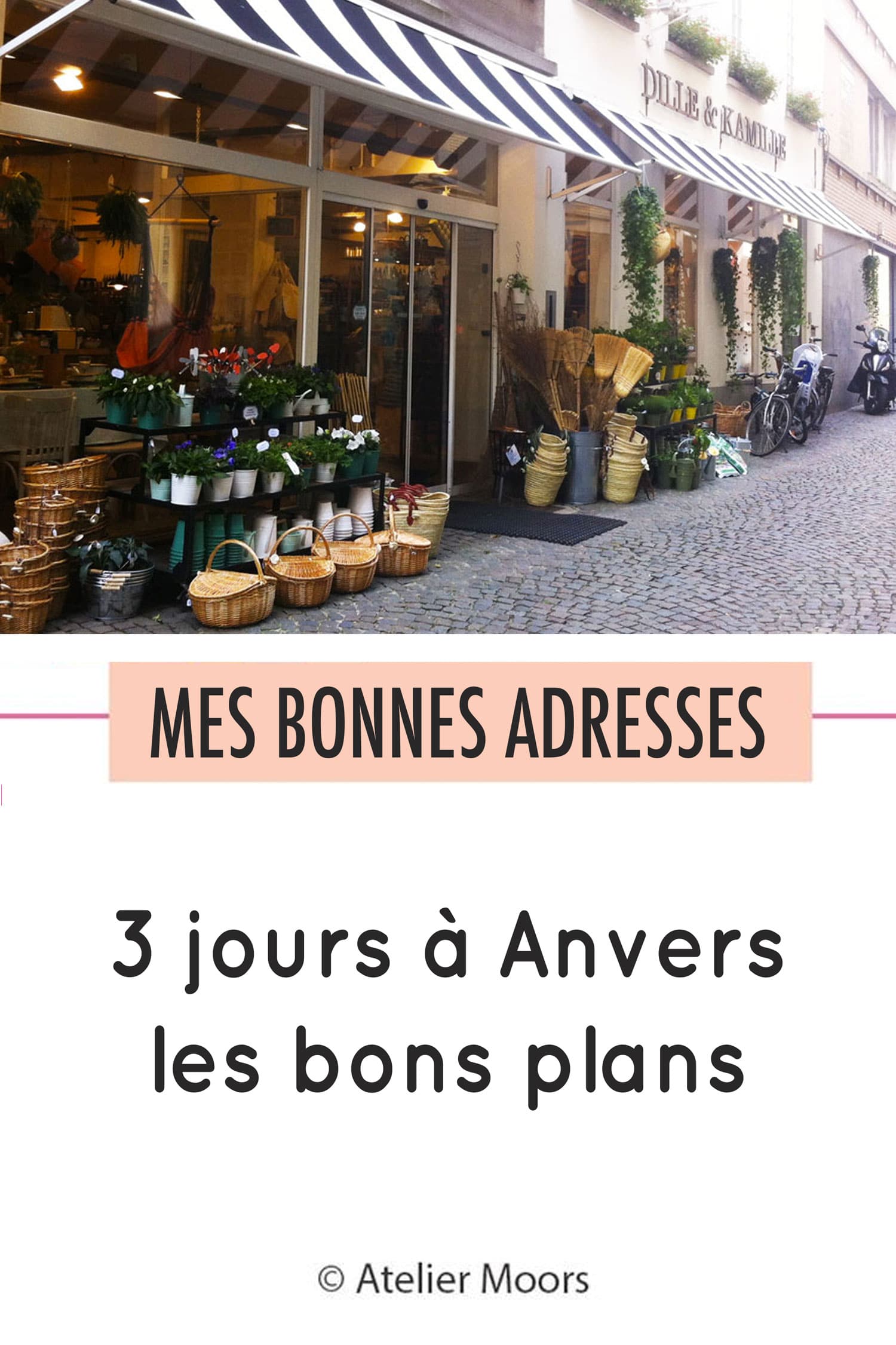 anvers les bons plans