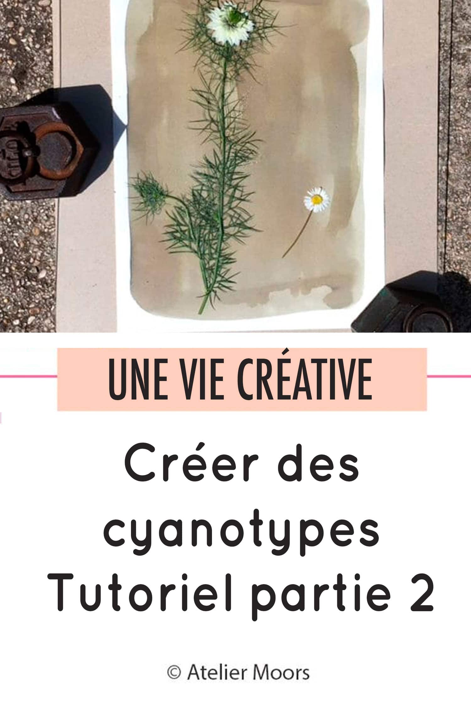 Créer des cyanotypes partie 2 pinterest