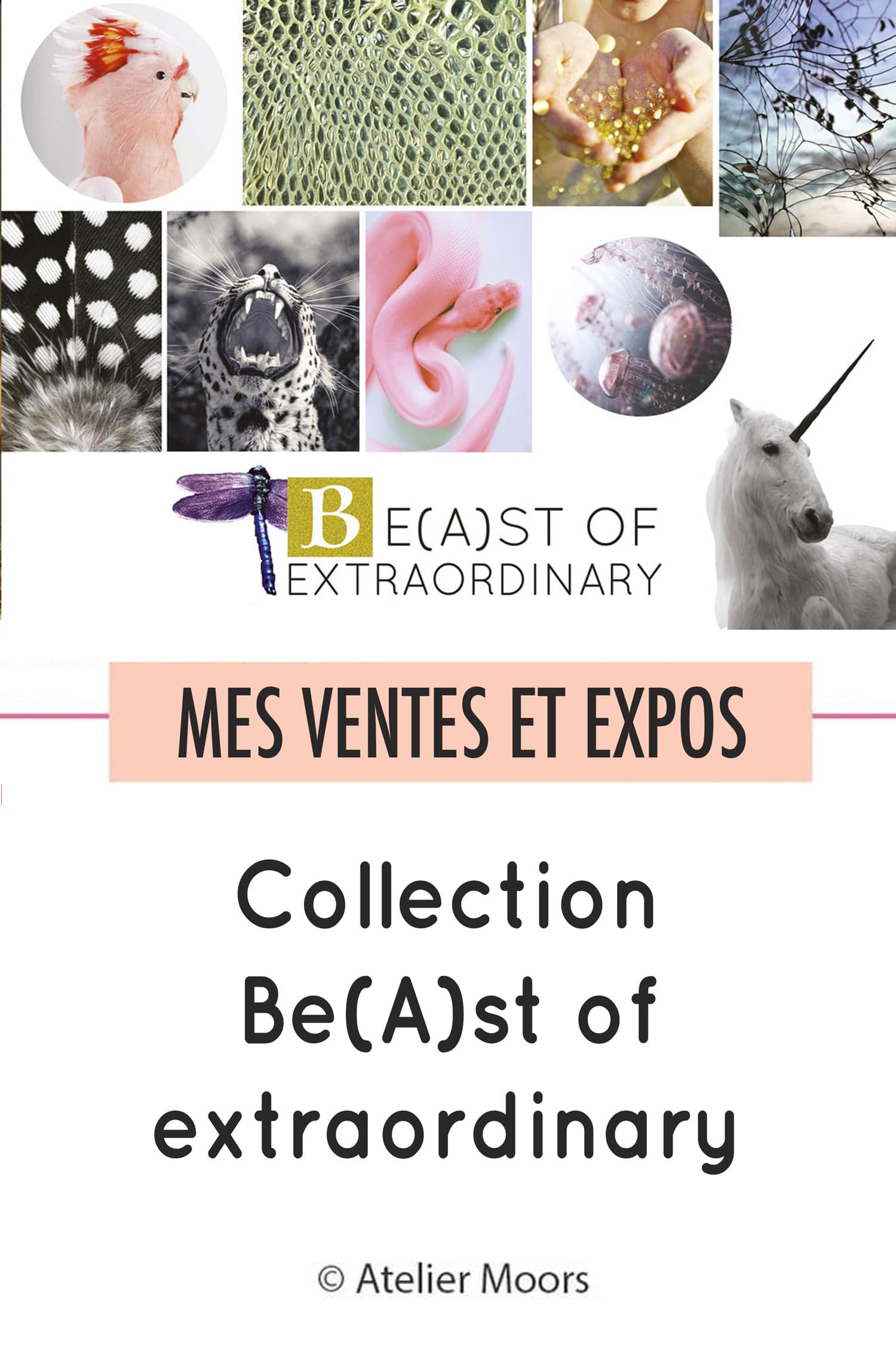 Collection Beast of extraordinary Atelier Moors